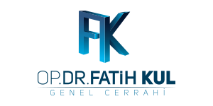 Fatih Kul